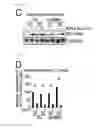 Fig. 07 - Method for determining prognosis of cancer