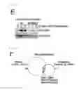 Fig. 08 - Method for determining prognosis of cancer
