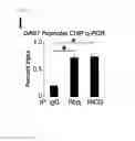 Fig. 10 - Method for determining prognosis of cancer