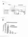 Fig. 12 - Method for determining prognosis of cancer