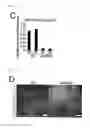 Fig. 13 - Method for determining prognosis of cancer