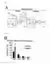 Fig. 17 - Method for determining prognosis of cancer