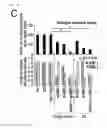 Fig. 18 - Method for determining prognosis of cancer