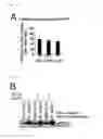 Fig. 33 - Method for determining prognosis of cancer