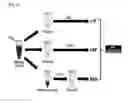 Fig. 05 - Diagnostic kit for diagnosis of abnormal protein aggregation- or misfolding-related diseases using dissociation of protein aggregates