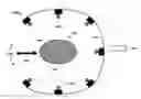 Fig. 01 - Large-volume scintillator detector for rapid real-time 3-D dose imaging of advanced radiation therapy modalities