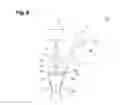 Fig. 10 - Radiation image acquisition device