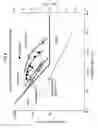 Fig. 09 - METHOD OF PRODUCING ROLL OF LAMINATE STRIP WITH POLARIZING FILM