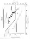 Fig. 13 - METHOD OF PRODUCING ROLL OF LAMINATE STRIP WITH POLARIZING FILM