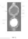 Fig. 02 - Viewing window assembly for single-sided installation