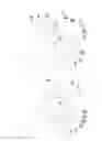 Fig. 05 - Annular device