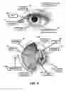 Fig. 06 - Eyewear pupilometer