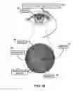 Fig. 18 - Eyewear pupilometer