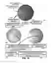Fig. 20 - Eyewear pupilometer