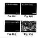 Fig. 03 - FAST ELECTROOPTIC SWITCHING DEVICES EMPLOYING POLYMER TEMPLATE SHAPED BY BLUE PHASE LIQUID CRYSTAL