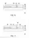 Fig. 09 - COLOR FILTER, METHOD OF FABRICATING THE SAME AND DISPLAY PANEL HAVING THE SAME
