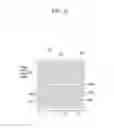 Fig. 17 - Liquid crystal display device
