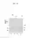 Fig. 18 - Liquid crystal display device