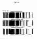 Fig. 11 - Liquid crystal display device and manufacturing method thereof