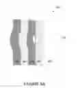 Fig. 06 - Fabrication of low defectivity electrochromic devices