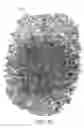 Fig. 24 - Three-dimensional circuit using bicontinuous structures
