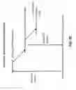 Fig. 24 - Apparatus and method of direct writing with photons beyond the diffraction limit using two-color resist