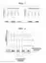 Fig. 02 - Pattern forming method, resist composition for multiple development used in the pattern forming method, developer for negative development used in the pattern forming method, and rinsing solution for negative development used in the pattern forming method