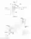 Fig. 11 - Exposure Apparatus with Component from which Liquid is Protected and/or Removed and Device Fabricating Method