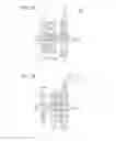 Fig. 06 - Image forming apparatus