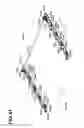 Fig. 38 - Image forming apparatus and developing cartridge