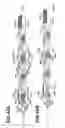Fig. 40 - Image forming apparatus and developing cartridge