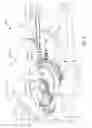 Fig. 04 - Perpetual calendar with a differential mechanism