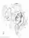 Fig. 07 - Perpetual calendar with a differential mechanism