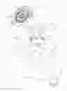 Fig. 10 - World watch