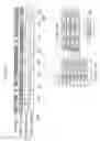 Fig. 13 - Power control device for processor