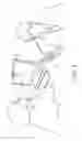 Fig. 06 - Gaze tracking through eyewear