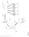 Fig. 16 - INTERACTIVE INPUT DEVICE