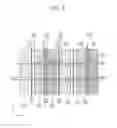 Fig. 09 - Display device with touch sensor