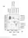 Fig. 11 - SENSE SIGNALS FOR TOUCH PANELS