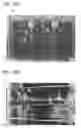 Fig. 34 - Display device comprising plural panels
