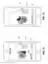 Fig. 18 - CREATING AND DELIVERING MUSIC AND OTHER MULTIMEDIA CONTENT WITHIN A WRAPPED PACKAGE OF CARDS