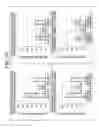 Fig. 31 - SYSTEM, METHOD OF CONTROLLING A SYSTEM INCLUDING A LOAD BALANCER AND A PLURALITY OF APPARATUSES, AND APPARATUS