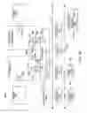 Fig. 37 - Coalescing adjacent gather/scatter operations