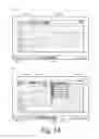 Fig. 16 - Heterogeneous Application Tabs