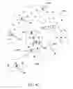 Fig. 07 - Skeleton data point clustering