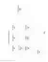 Fig. 03 - Identifying events using informational fields