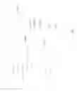 Fig. 131 - Automatic entity definitions