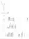 Fig. 145 - Automatic entity definitions