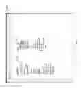 Fig. 167 - Incident review interface