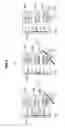 Fig. 05 - Information processing device, information processing method, and program